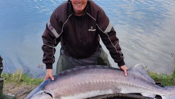 Sø rekord - Beluga Stør 74 kg