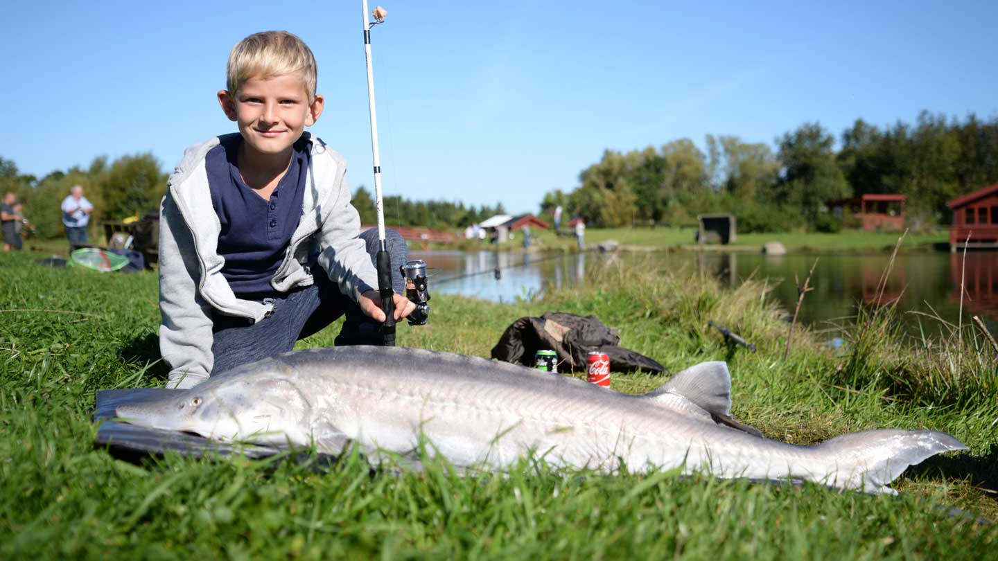 Stør fiskeri